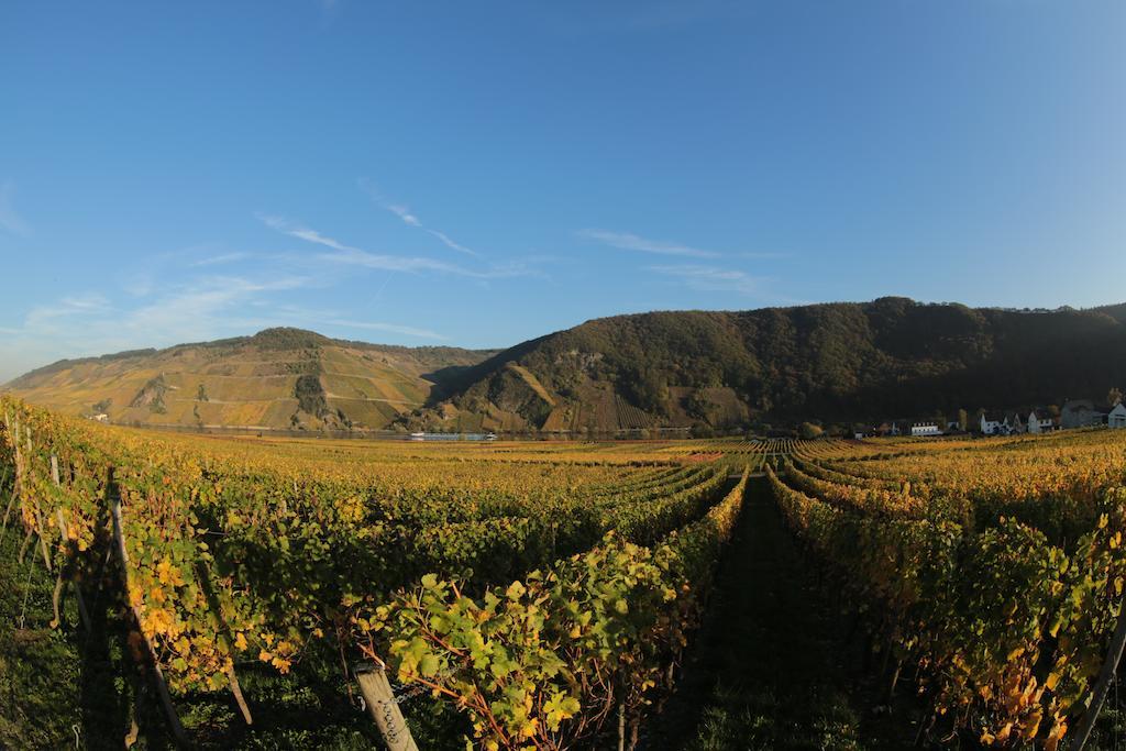 Hotel Zur Post Mulheim an der Mosel Eksteriør billede