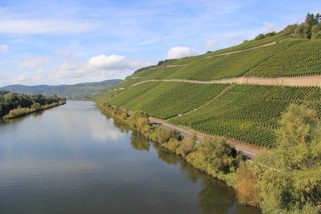 Hotel Zur Post Mulheim an der Mosel Eksteriør billede