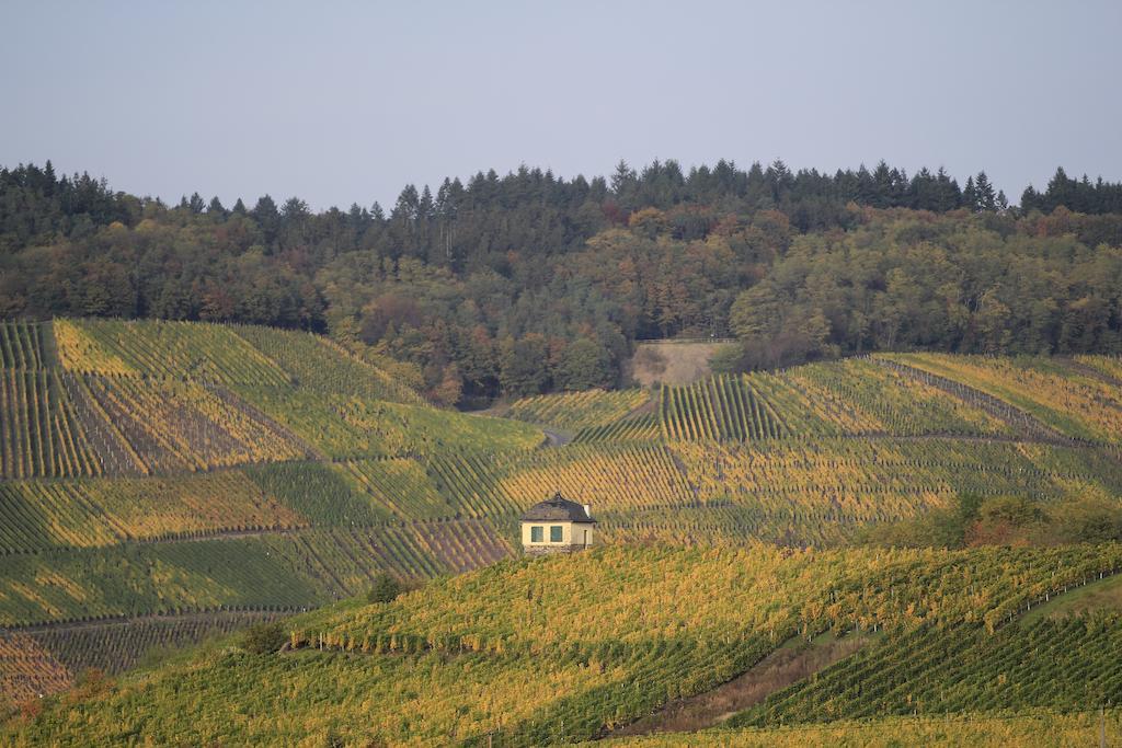 Hotel Zur Post Mulheim an der Mosel Eksteriør billede